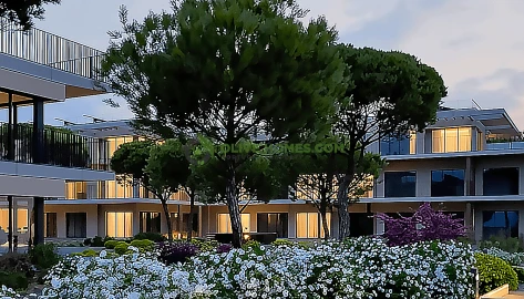 Apartamento T1 para Venda em Quarteira