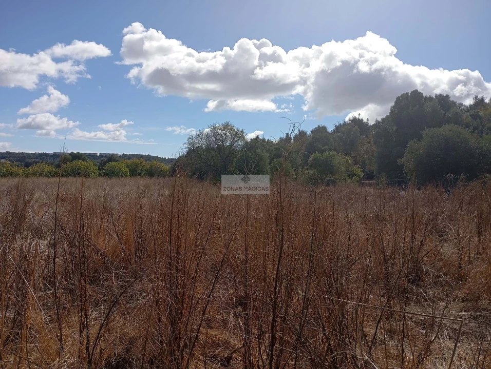 Terreno para Venda em Lagos (São Sebastião e Santa Maria) Foto 3