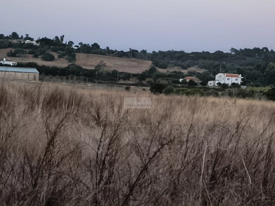 Terreno para Venda em Lagos (São Sebastião e Santa Maria) Foto 4