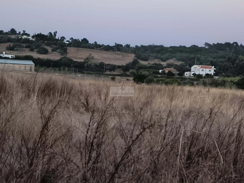 Terreno para Venda em Lagos (São Sebastião e Santa Maria) Foto 6