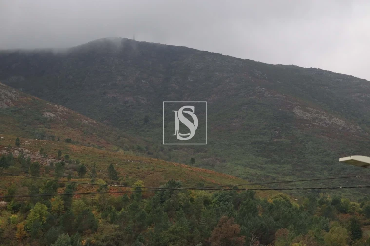 Moradia T3 para Venda em Ruivães e Campos Foto 48