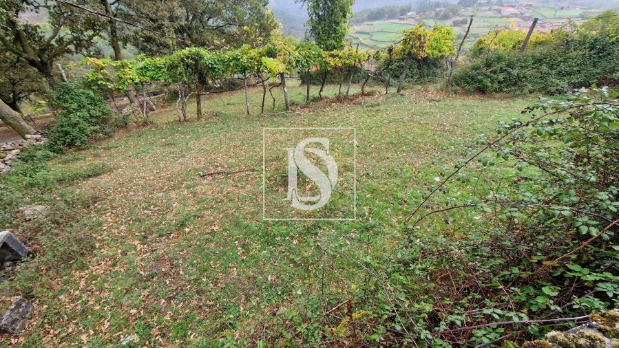 Moradia T3 para Venda em Ruivães e Campos Foto 40