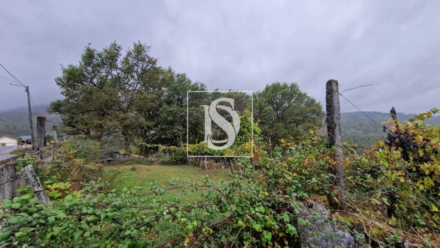 Moradia T3 para Venda em Ruivães e Campos Foto 41