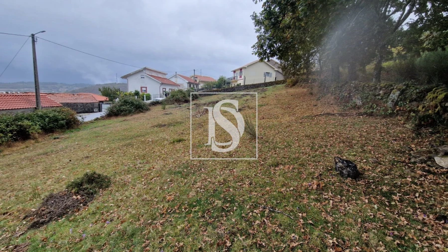 Moradia T3 para Venda em Ruivães e Campos Foto 37