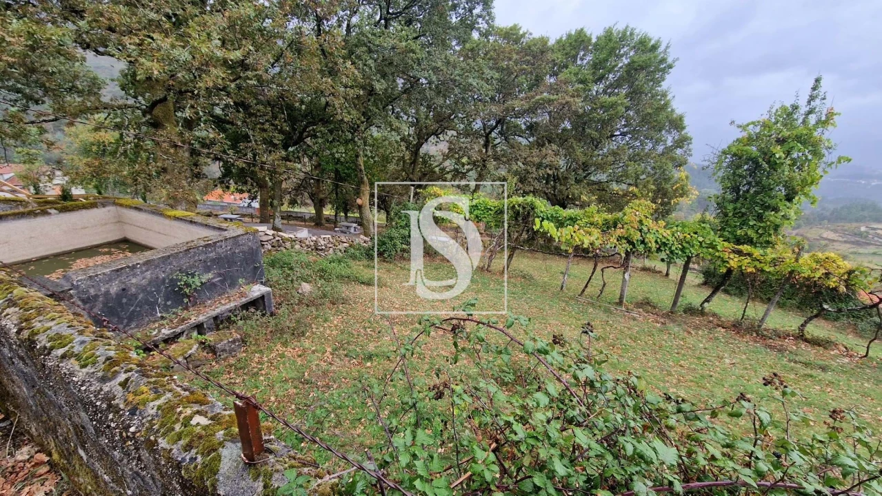 Moradia T3 para Venda em Ruivães e Campos Foto 39