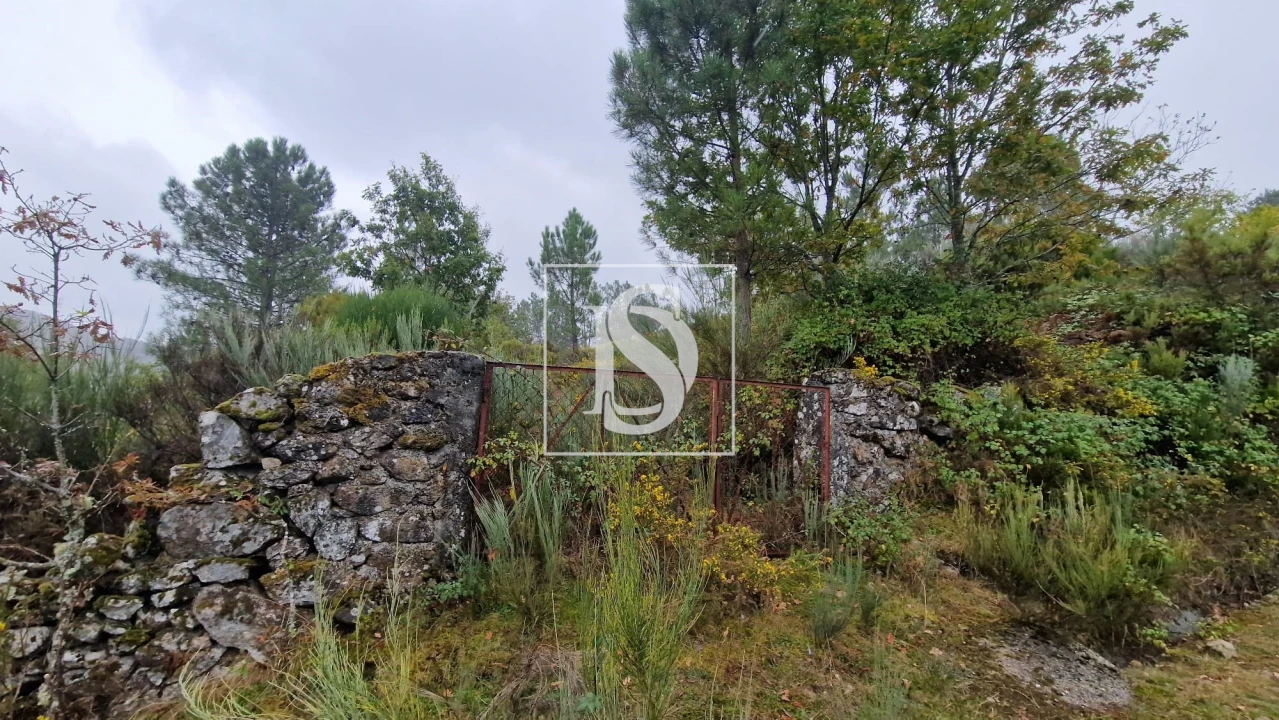 Moradia T3 para Venda em Ruivães e Campos Foto 42