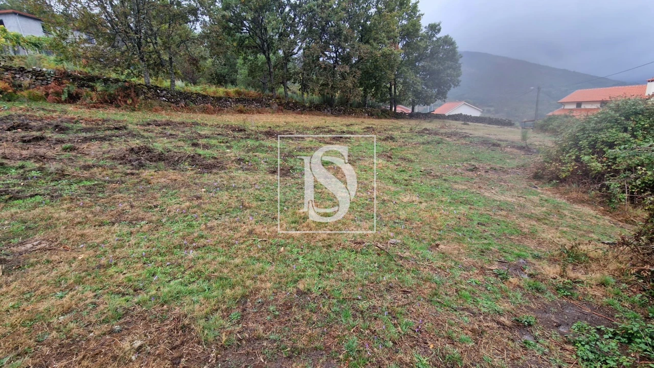 Moradia T3 para Venda em Ruivães e Campos Foto 34