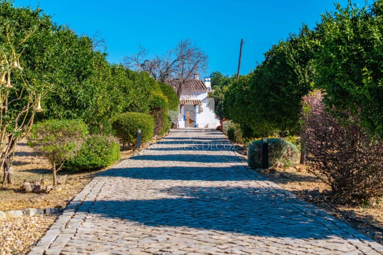Quinta T4 para Venda em Olhão Foto 26