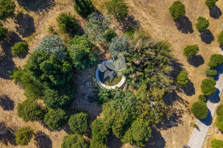 Quinta T4 para Venda em Olhão Foto 38