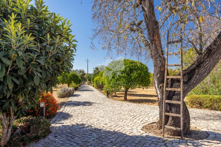 Quinta T4 para Venda em Olhão Foto 36