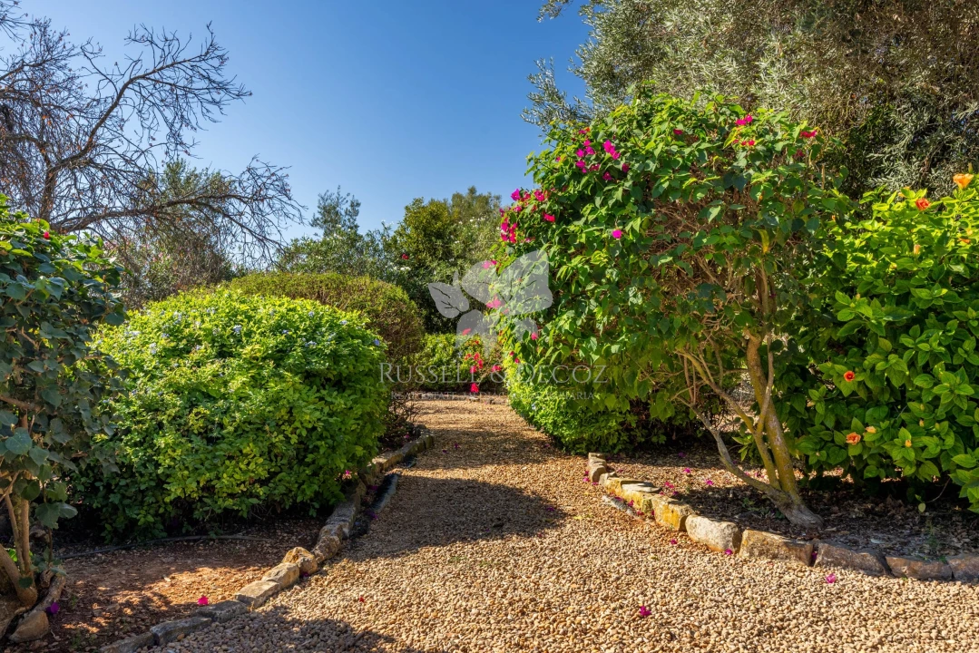 Quinta T4 para Venda em Olhão Foto 33