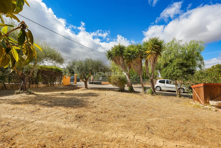 Quinta T3 para Venda em Olhão Foto 30