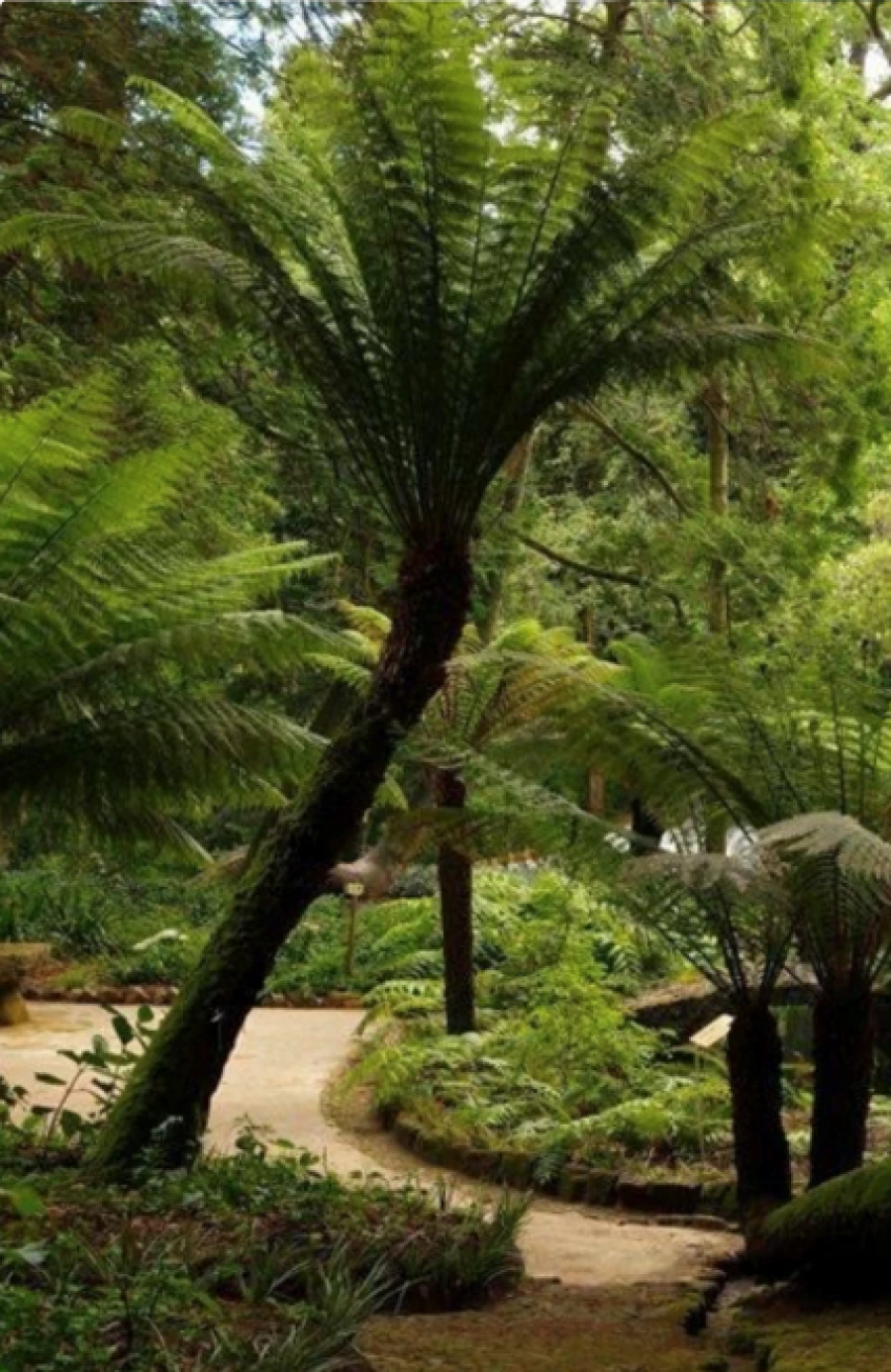 Moradia T10 para Venda em Agualva e Mira-Sintra Foto 41