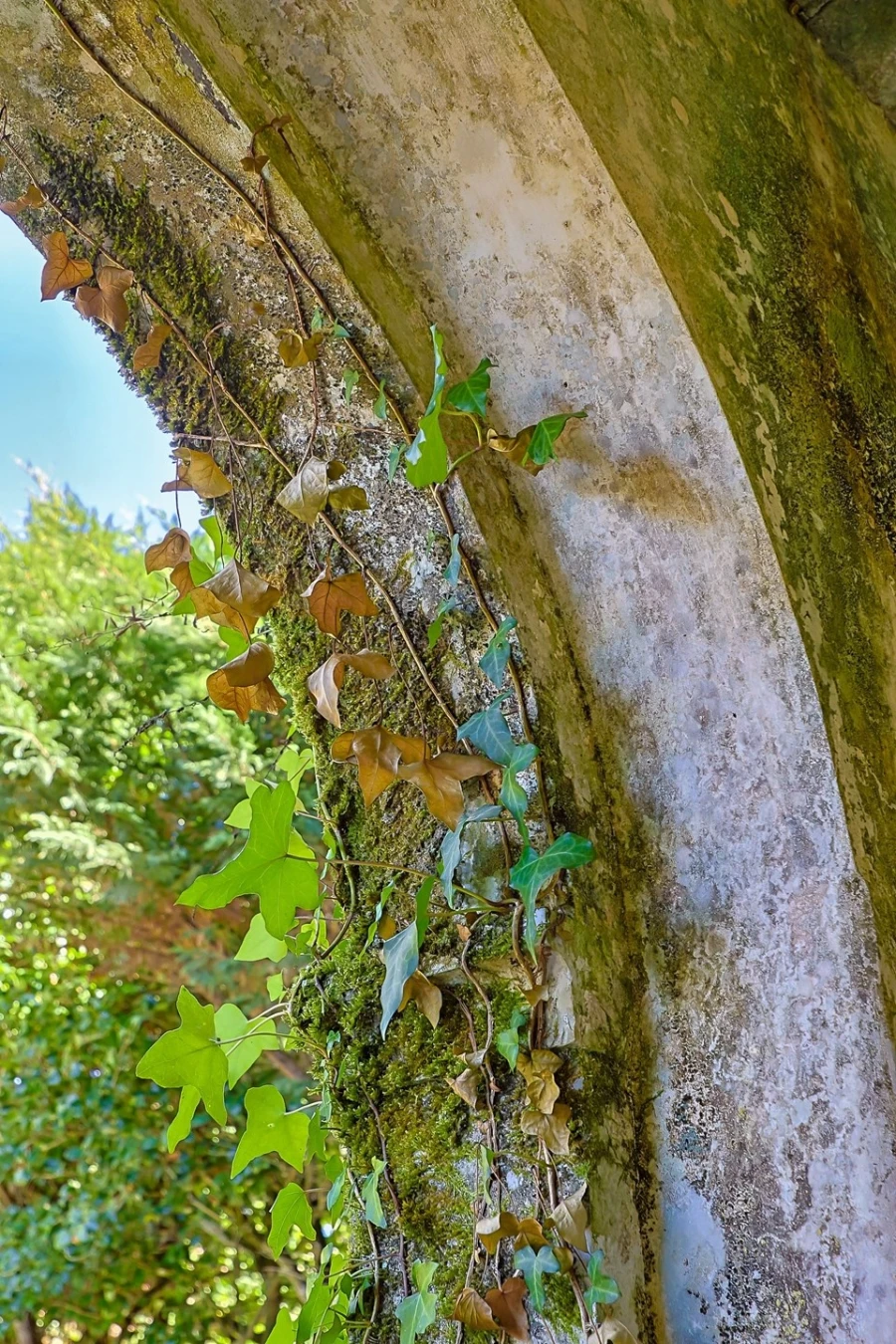 Moradia T10 para Venda em Agualva e Mira-Sintra Foto 90