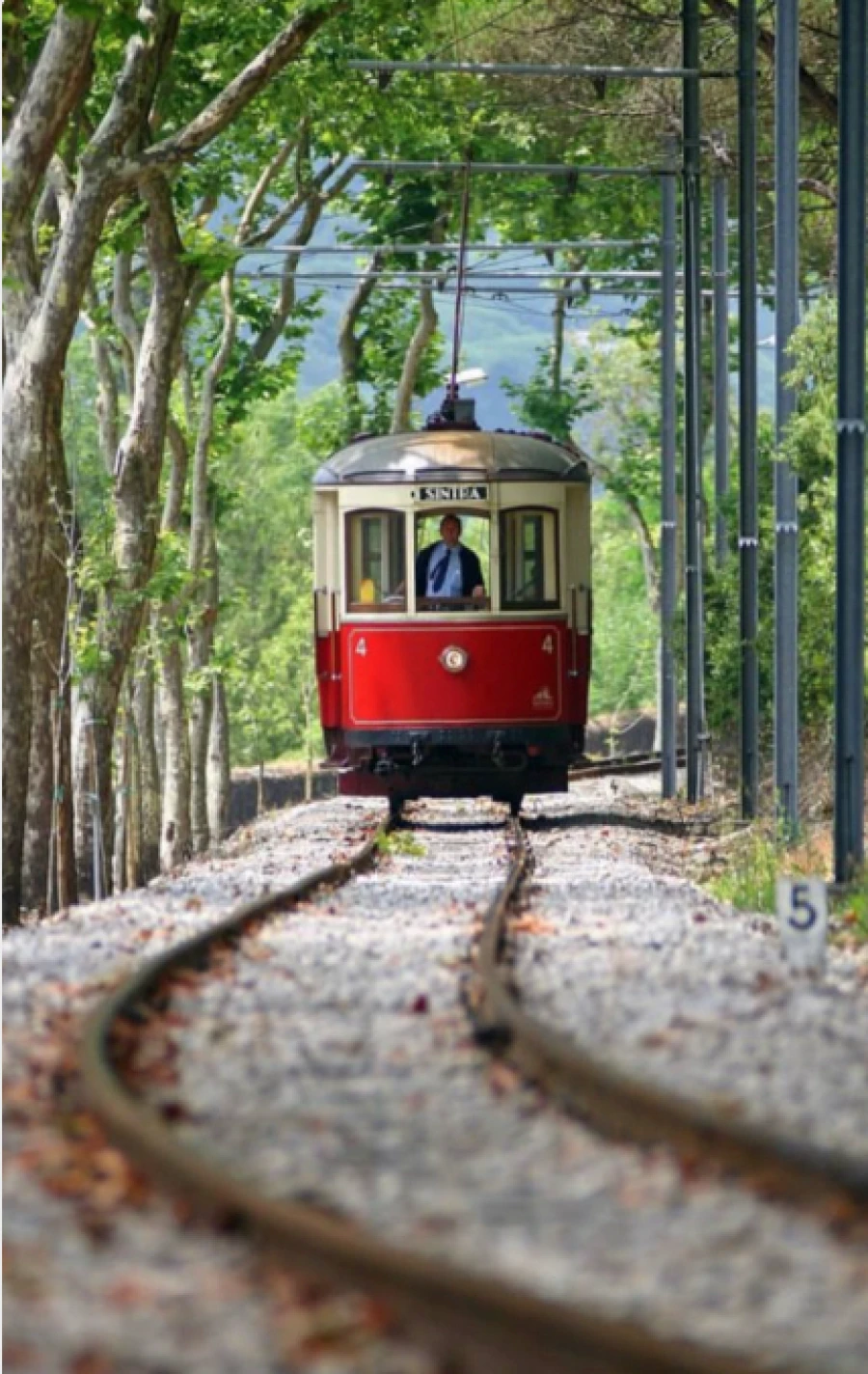Moradia T10 para Venda em Agualva e Mira-Sintra Foto 42