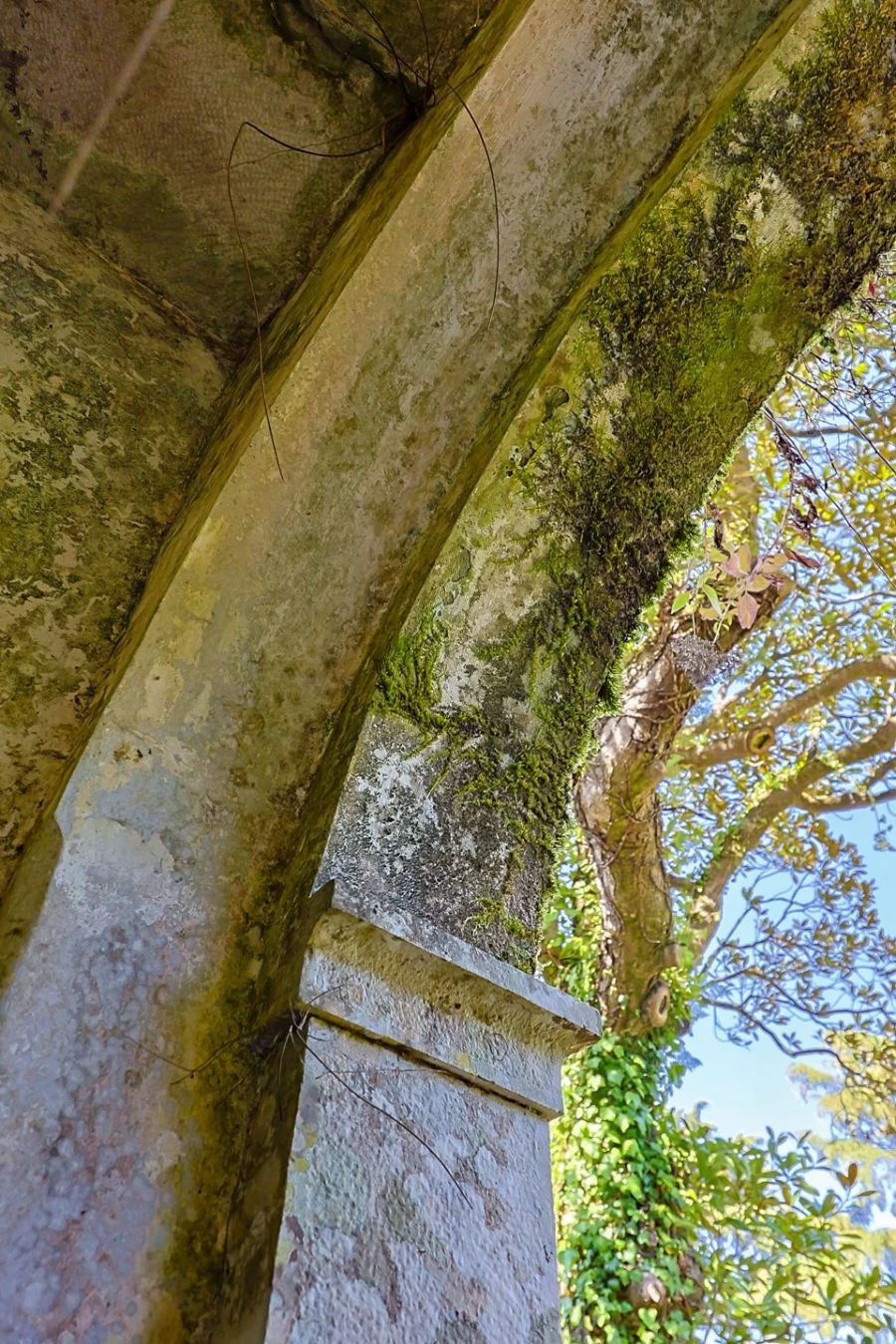 Moradia T10 para Venda em Agualva e Mira-Sintra Foto 89