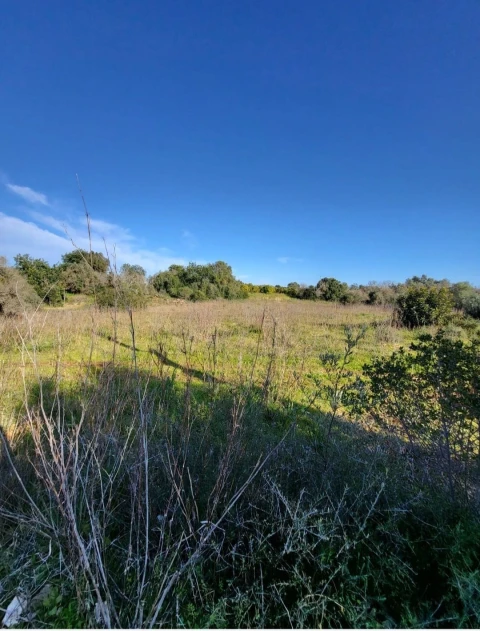 Apartamento para Venda em Silves