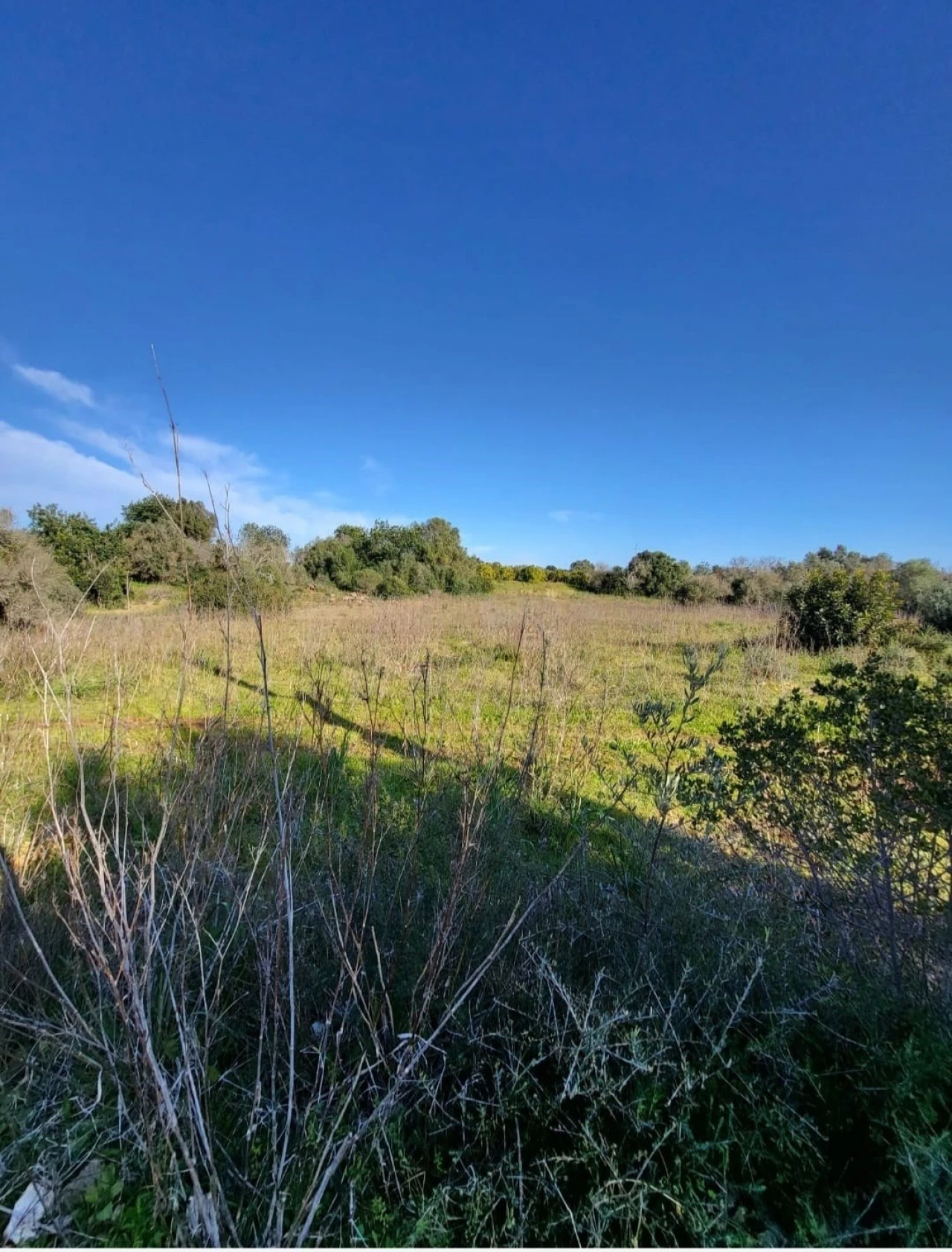 Apartamento para Venda em Silves Foto 2