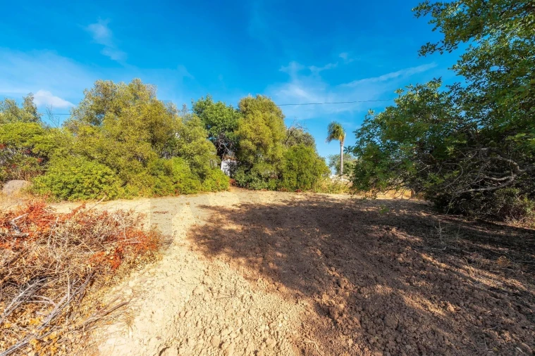Prédio para Venda em Santa Barbara de Nexe Foto 12