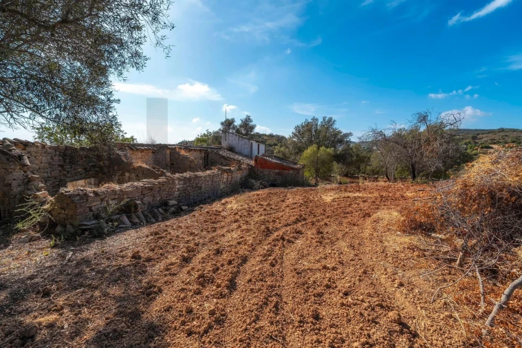 Prédio para Venda em Santa Barbara de Nexe Foto 10