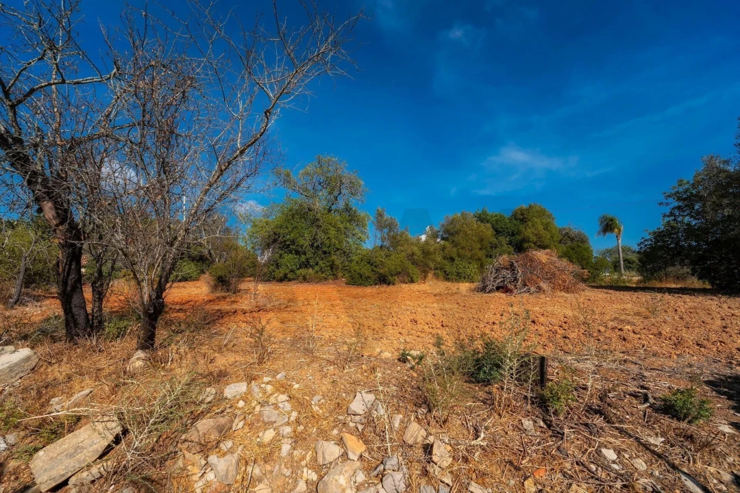 Prédio para Venda em Santa Barbara de Nexe Foto 11