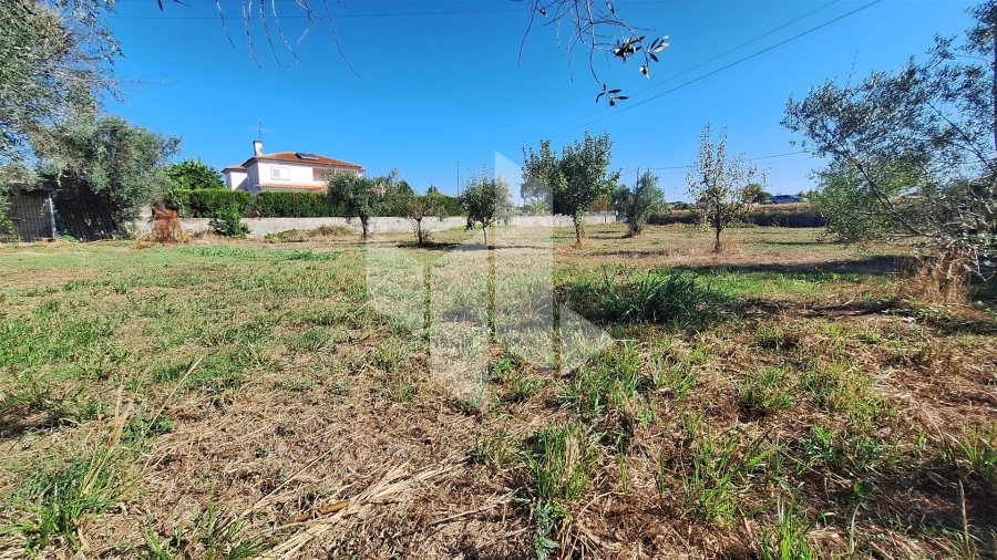 Terreno para Venda em Molelos Foto 4