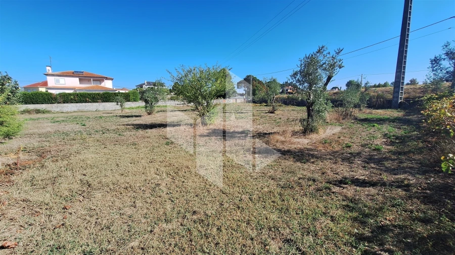 Terreno para Venda em Molelos Foto 1