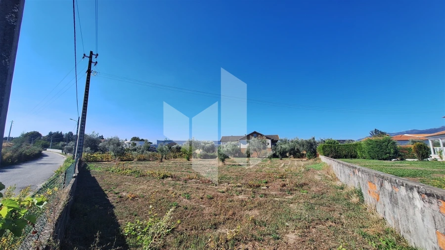 Terreno para Venda em Molelos Foto 7