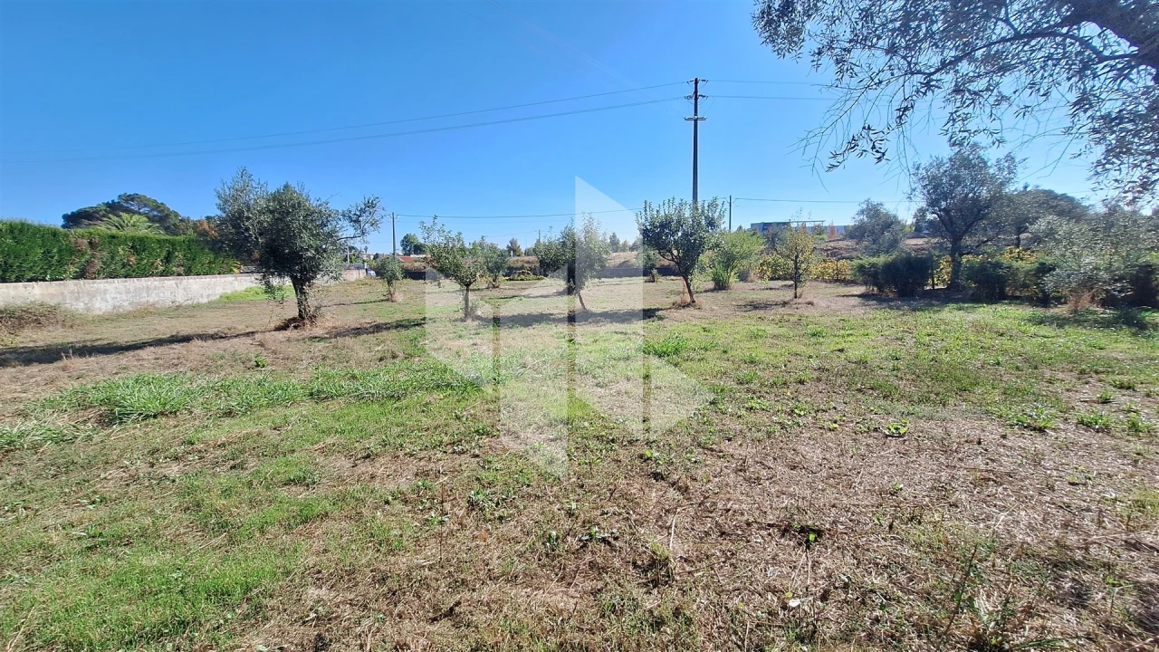 Terreno para Venda em Molelos Foto 2