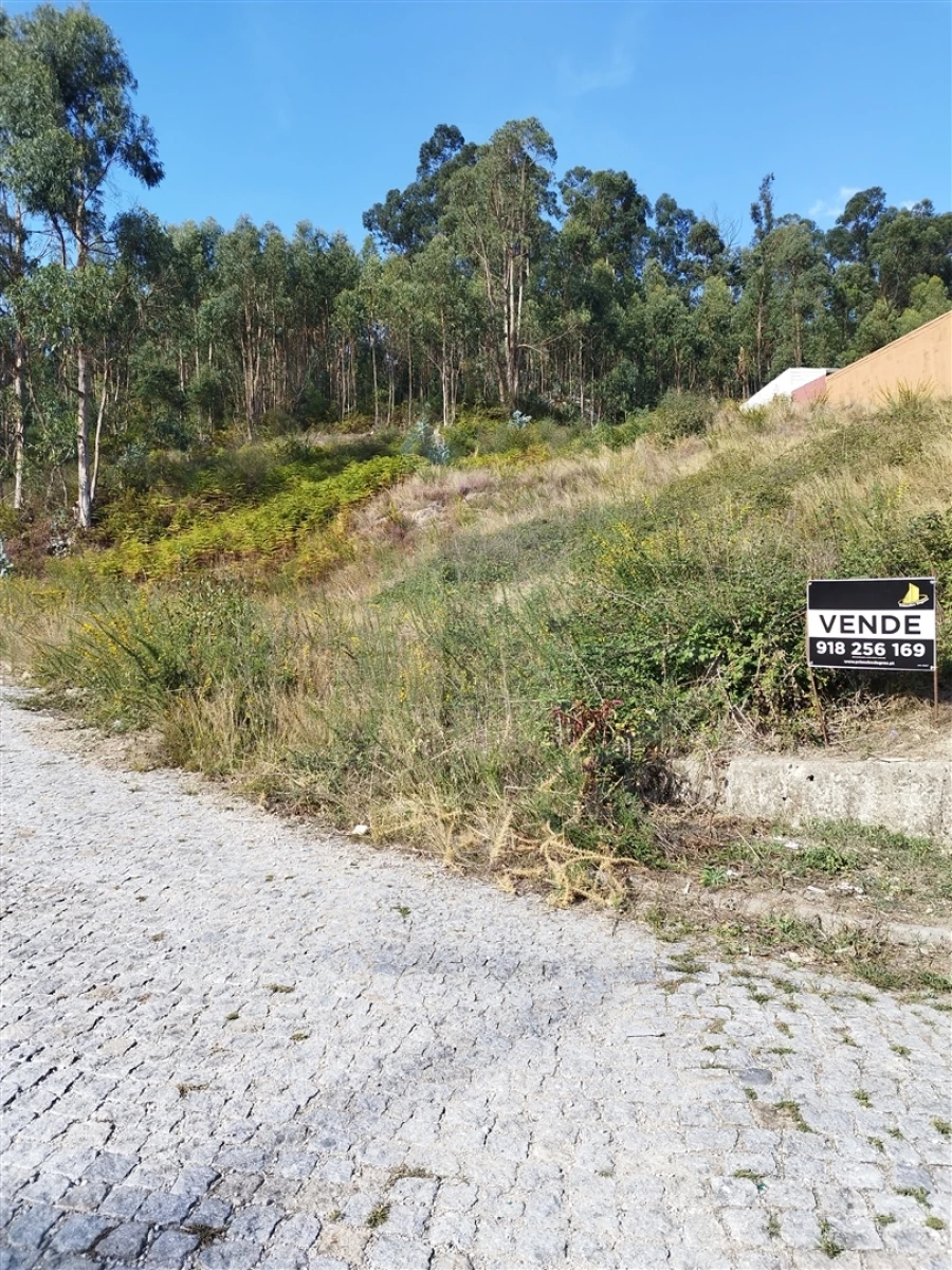 Terreno para Venda em Morreira e Trandeiras Foto 1