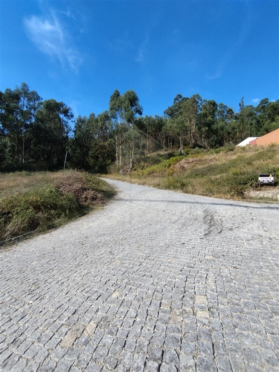 Terreno para Venda em Morreira e Trandeiras Foto 2