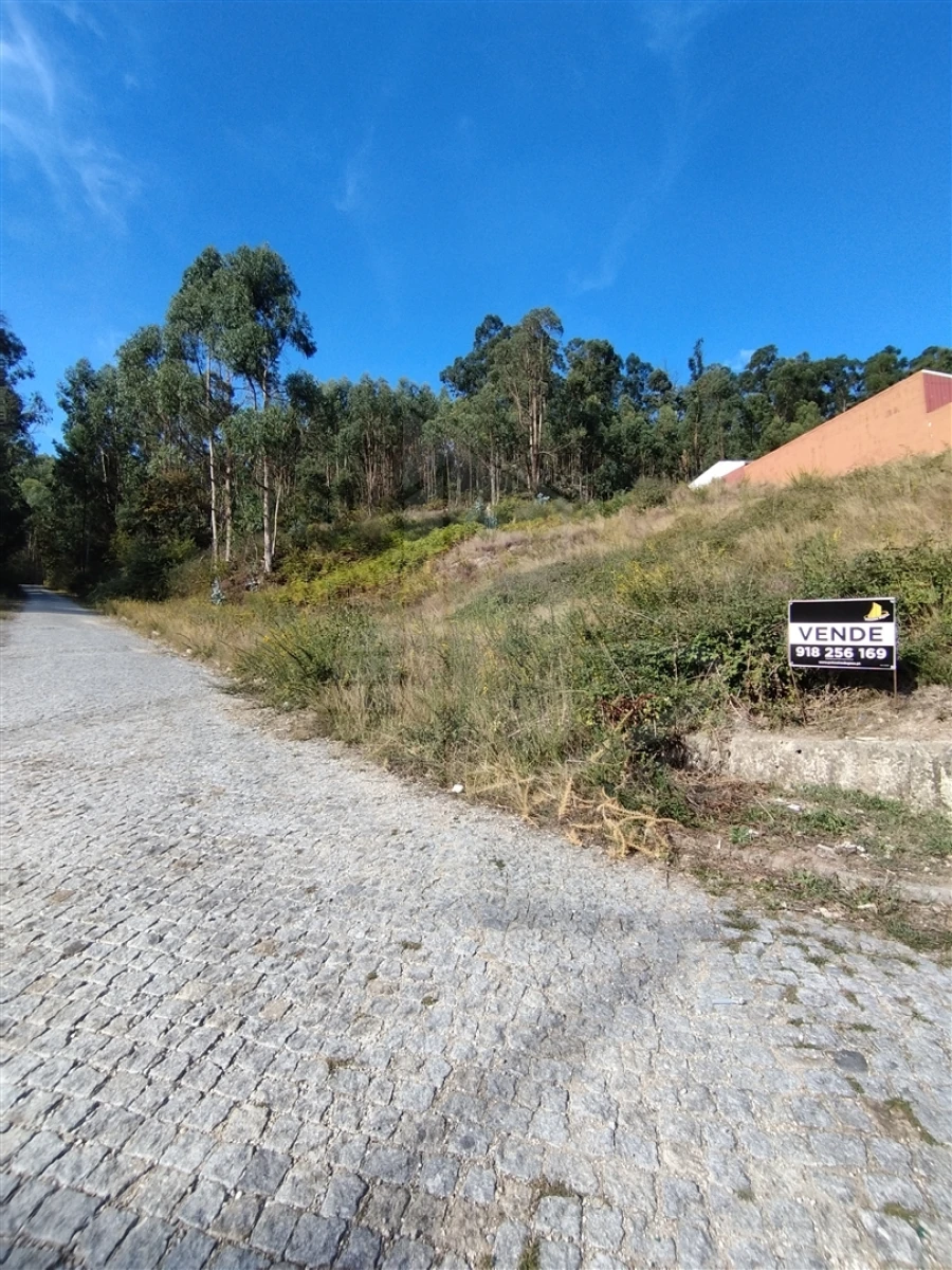 Terreno para Venda em Morreira e Trandeiras Foto 3
