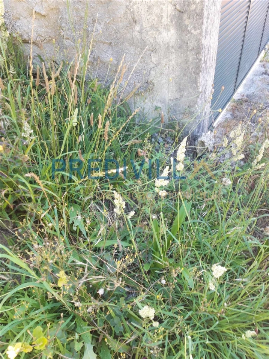 Terreno Agricola ou Rústico para Venda em Antas Foto 3