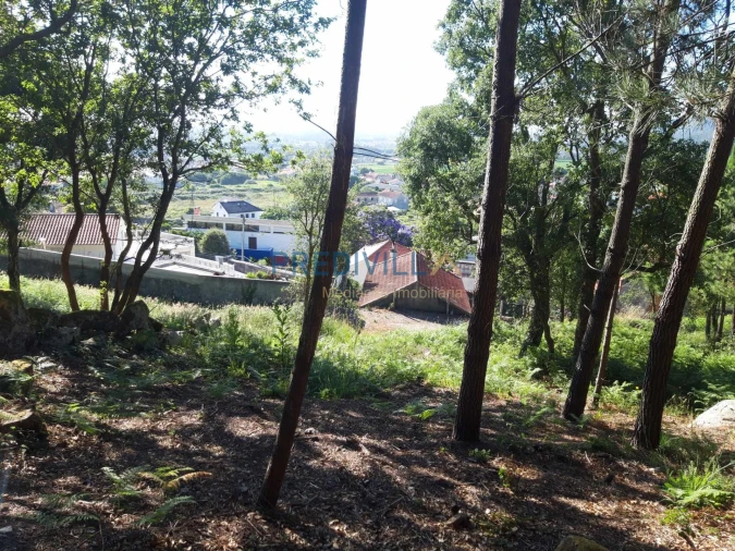 Terreno Agricola ou Rústico para Venda em Antas Foto 9