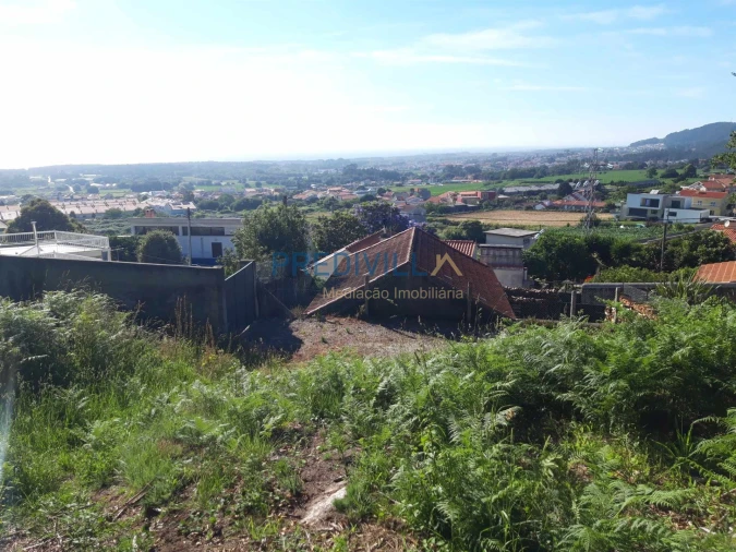 Terreno Agricola ou Rústico para Venda em Antas