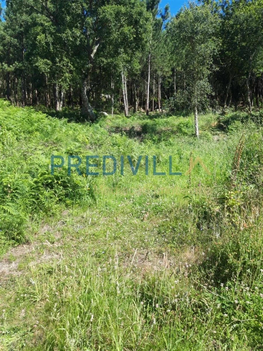 Terreno Agricola ou Rústico para Venda em Antas Foto 6
