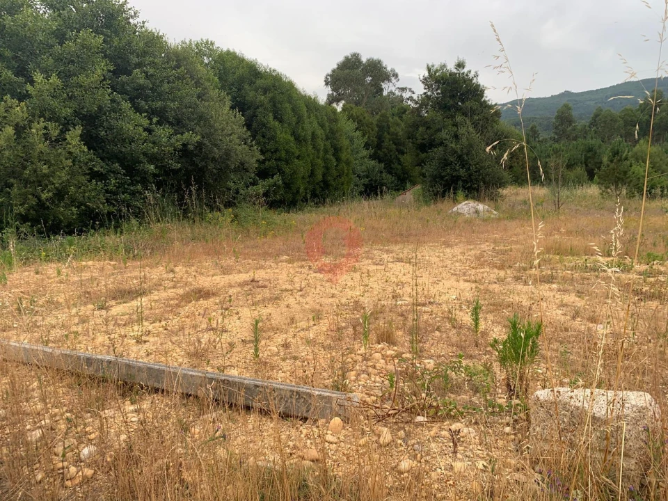 Terreno para Venda em Gandra e Taião Foto 2