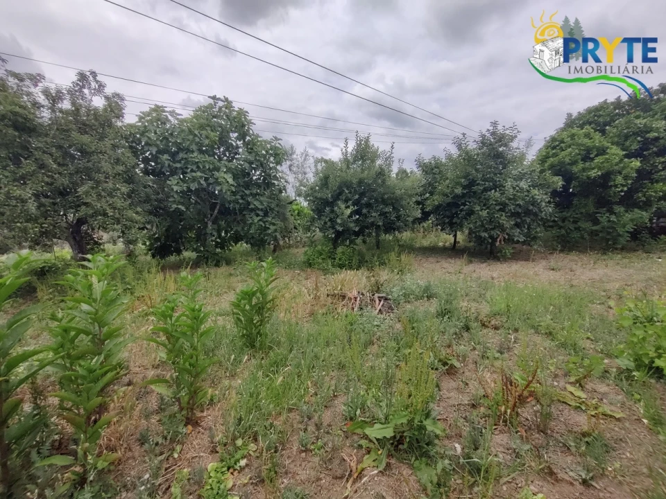 Moradia T3 para Venda em Sertã Foto 11