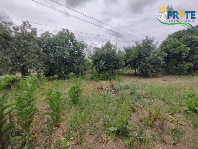 Moradia T3 para Venda em Sertã Foto 11