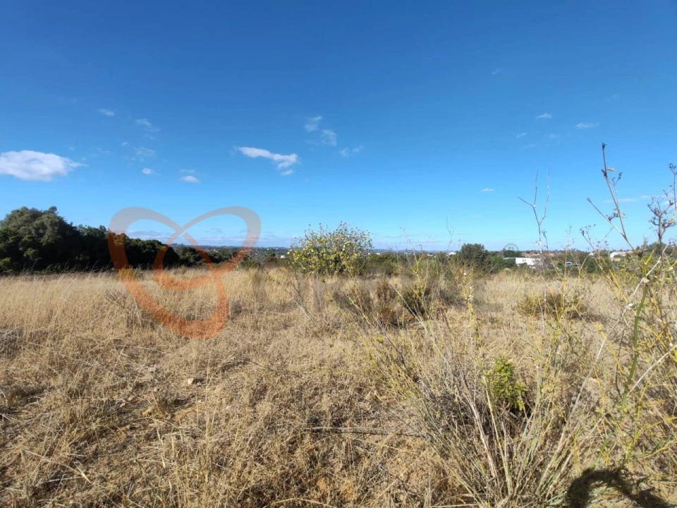 Terreno para Venda em Alcantarilha e Pêra Foto 9