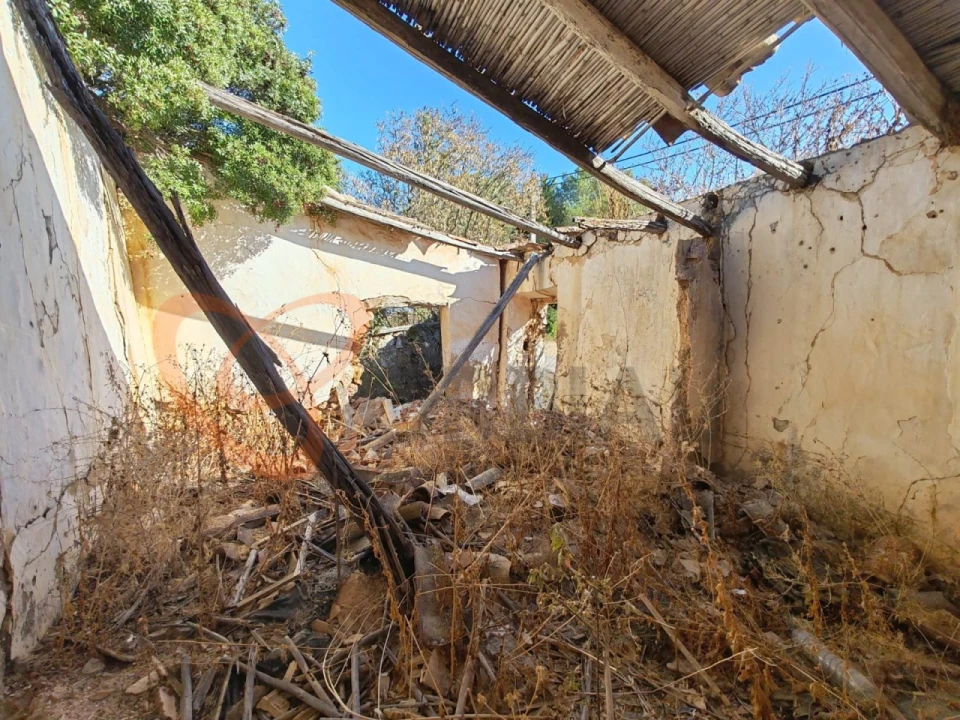 Terreno para Venda em Alcantarilha e Pêra Foto 12