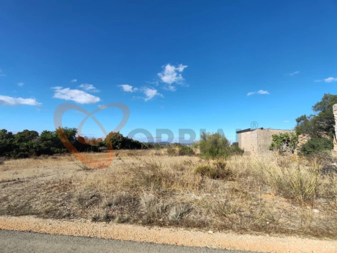 Terreno para Venda em Alcantarilha e Pêra Foto 5