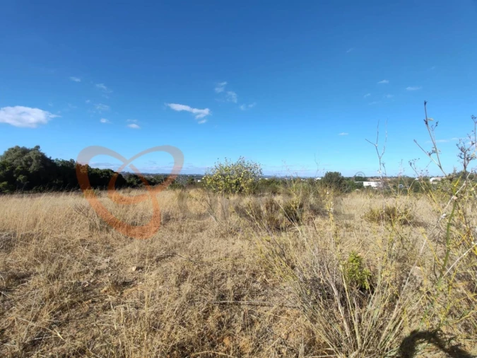 Terreno para Venda em Alcantarilha e Pêra Foto 9