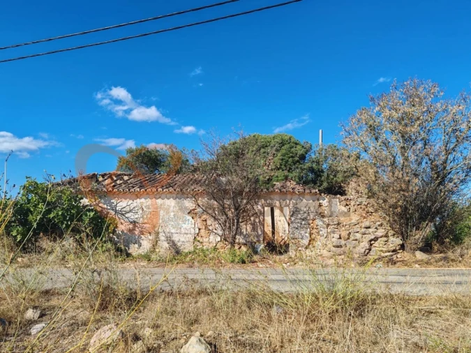 Terreno para Venda em Alcantarilha e Pêra Foto 2