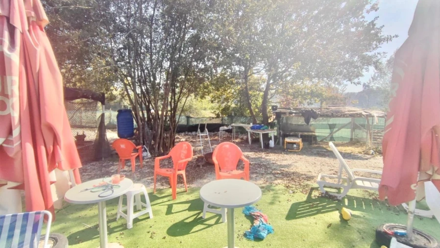 Terreno para Venda em Lobão, Gião, Louredo e Guisande Foto 4