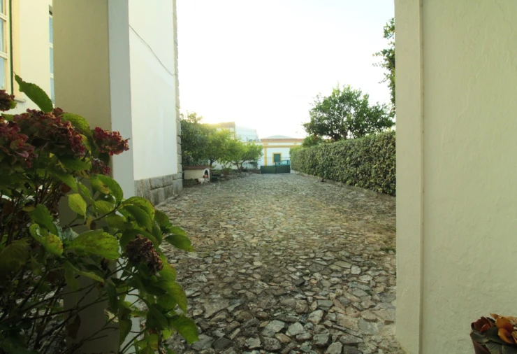 Moradia T3 para Venda em Alter do Chão Foto 25