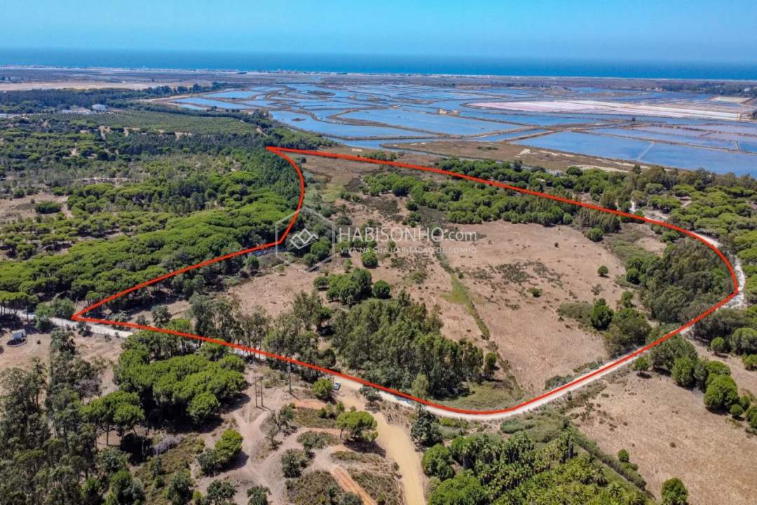 Quinta T2 para Venda em Montenegro Foto 2