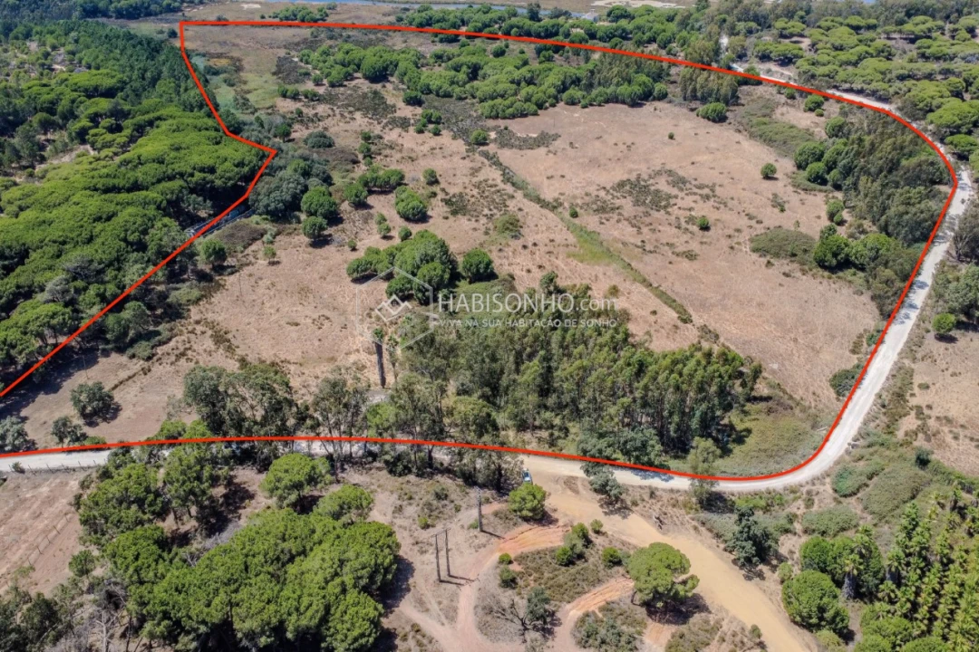 Quinta T2 para Venda em Montenegro Foto 3