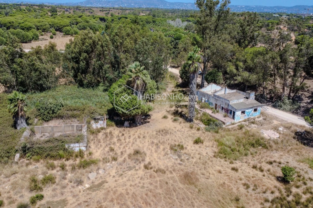 Quinta T2 para Venda em Montenegro Foto 5