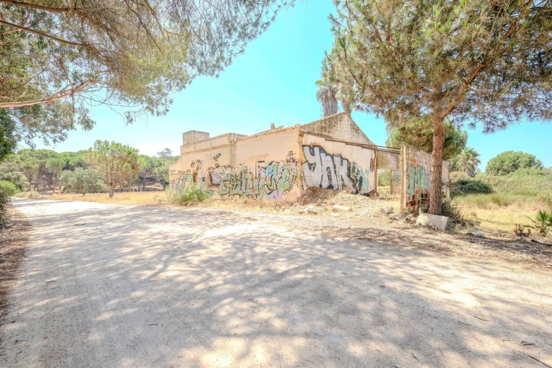 Quinta T2 para Venda em Montenegro Foto 9